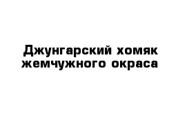 Джунгарский хомяк жемчужного окраса